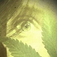 HappySeedsMom (@happyseedsgirl) 's Twitter Profile