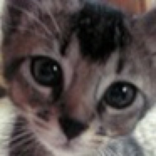 Twitter見習い★職業 習字教室講師 AEAJアロマセラピスト&インストラクターとレイキ資格を持ち、ほのぼのした書道教室を営んでいます★リフォロー、相互フォロー心掛けています。