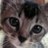 poaroma's profile image