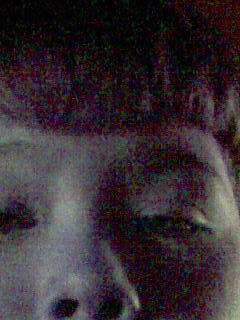 uprojs's profile picture. 