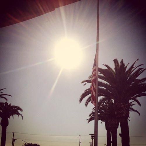 digitaldepos's profile picture. 