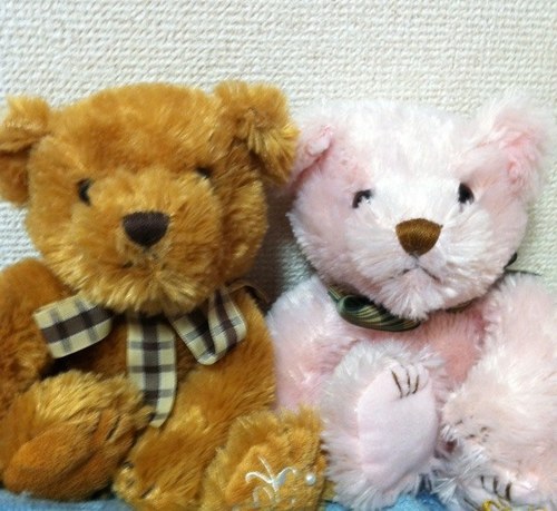 senk_na55's profile picture. ネコちゃんとゲーム、旅行が大好き♪日常の事やゲームについてつぶやいてます。WAR DRAGONSにハマった。