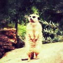 Michael Freudenberg - @wo_is_michi - Twitter