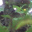 Markus Karl JOHAM - @MarkusKarlJOHAM - Twitter