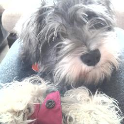 frickleton Profile Picture