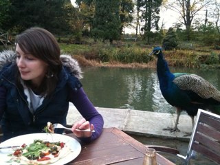 BhogalSarah's profile picture. Christian, wife, mother, secondary English teacher.