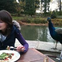 Sarah Bhogal (@bhogalsarah) 's Twitter Profile