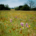 robert sarrasin - @robertsarrasin - Twitter