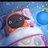 tobutotoro's profile image