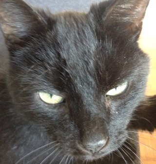 ROCtwiet's profile picture. Wollig huisdier. Leest alles wat los en vast zit. Taalpurist. Liefhebber van sporten in de buitenlucht. Zit niet graag in een hokje. Koffiesnob. Chocoholic.