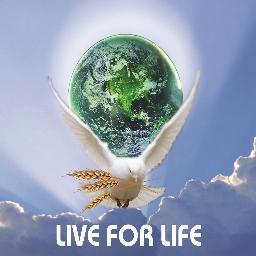@IS_Foundation Community Crew in Ukraine
If you live a compassionate life, you will create progress, productivity and innovation - @IanSomerhalder