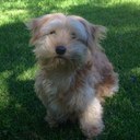 wayne nunn - @waynenunn1 - Twitter