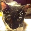 Lacey Greene - @GreeneLacey - Twitter