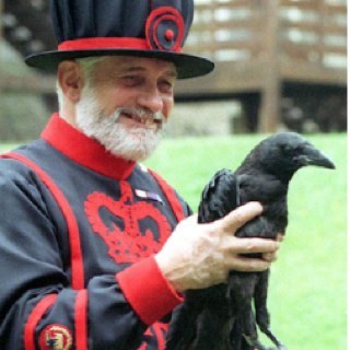 Baltimore UK Ravens