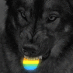 sir_kolombo's profile picture. Абсолютные истины абсолютно бесполезны.