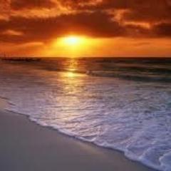 pasquale54's profile picture. 