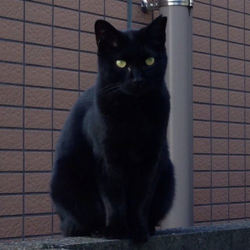 いぎもさん