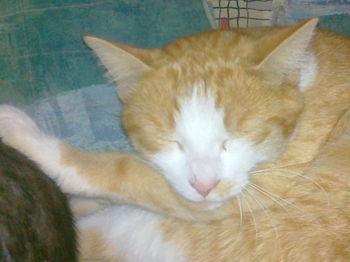 PoskusProgramir's profile picture. 