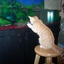 Debra Langdon - @loveyourchild - Twitter