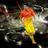 Profile Picture of Jalil Mohamed (@@jalil_mohamed) on Twitter