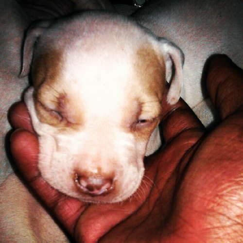 Black_MacGruber's profile picture. 