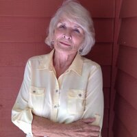 diane purcell - @dianep704 Twitter Profile Photo