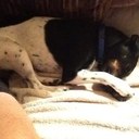 stephanie rountree - @stephiescookn - Twitter