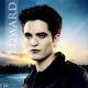 My biodata :) ,my life is entertainment,singing,action,etc.but my life is my story :).official twitter for robert pattinson