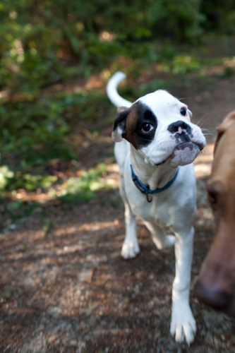 TiborLong's profile picture. 