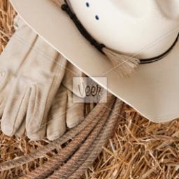 smalltownpride9's profile picture. Ain't no pride like Southern Pride. #teamcountry #teamsouthern #teamblessed #teamhunting