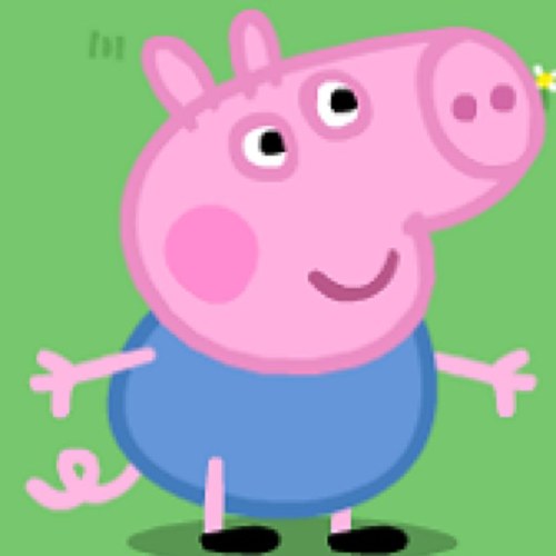 Just an average day pig on twitter