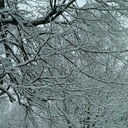 Karen Ager-Rothwell - @KRothwell23 - Twitter