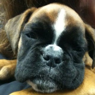 TruffaSaby's profile picture. 