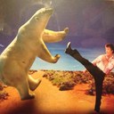 Colin Corey - @TheColinCorey - Twitter