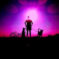 Barnsie (@barnsie_) 's Twitter Profile