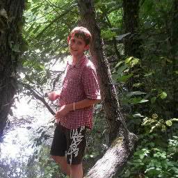 SandroMoralishv's profile picture. 