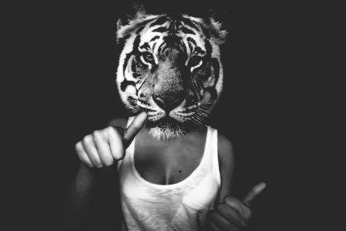 @Clarence_Brmd 
uziné ☻