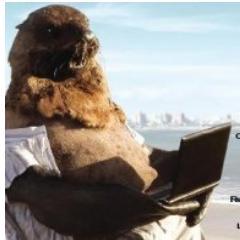 HLoboMarino's profile picture. Porque faltaba mi histeria en Tw