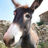 San Roman de Cameros (@sanromancameros) 's Twitter Profile