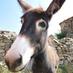 San Roman de Cameros (@sanromancameros) Twitter profile photo San Roman de Cameros (@sanromancameros) Twitter profile photo