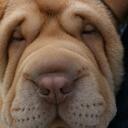 Beatriz Robles - @Robles619 - Twitter