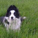 kenny lock - @_kenny2012 - Twitter