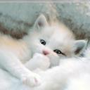 PETIT MICHELLE - @michelle_petit - Twitter