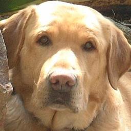 16Rock16's profile picture. 