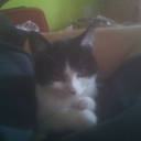 Sam Nightingale - @SamNightingale6 - Twitter