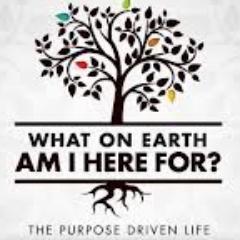 You are not an accident! even before the universe was created, God had you in mind and he planned you for His purposes. You were not made to last forever!!