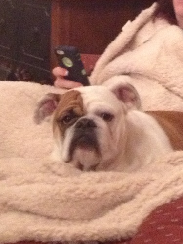 princess annie