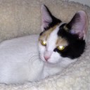 Christian pierce - @SSohPKCthe2nd - Twitter