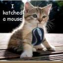 lou benson - @momb9 - Twitter