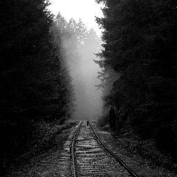 GmoMann's profile picture. professional vagrant, part time pedaller for Trek Red Truck Racing